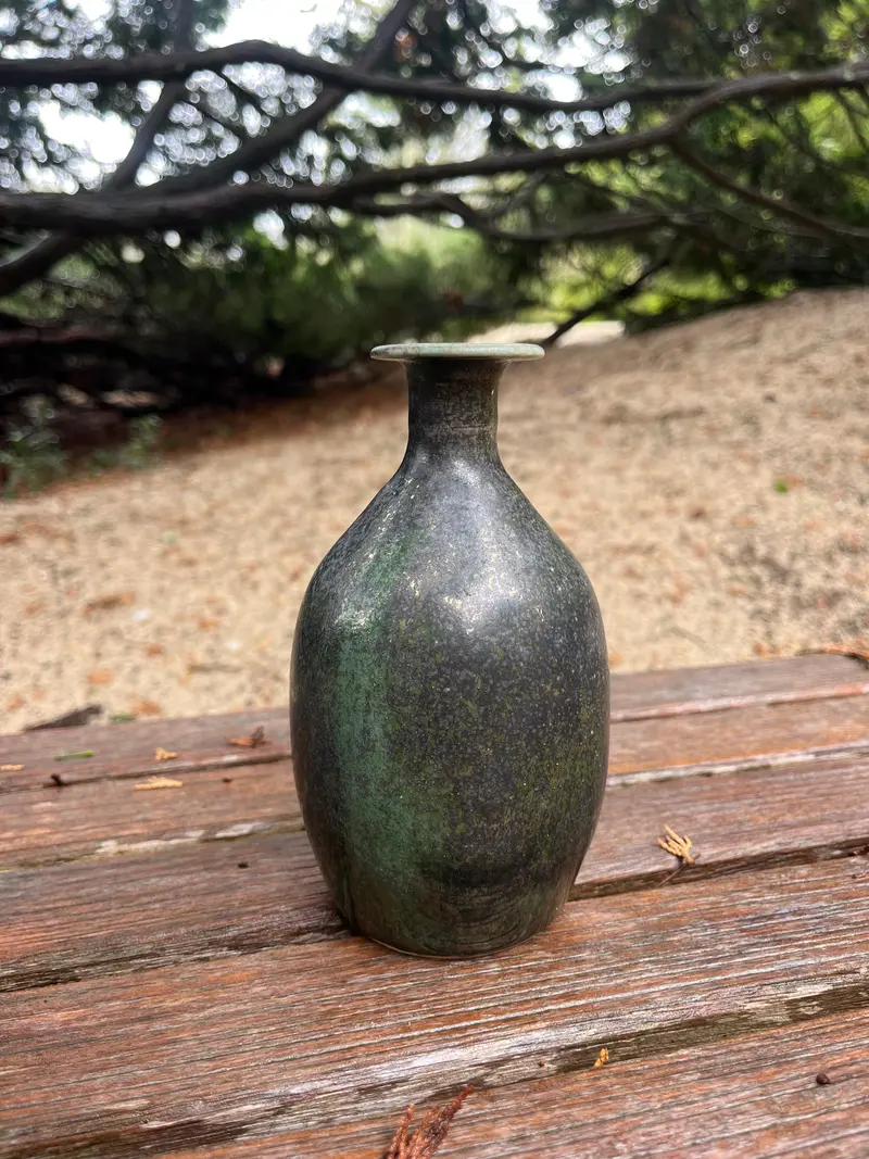 Ann Barzola Porcelain Black Green Vase 1