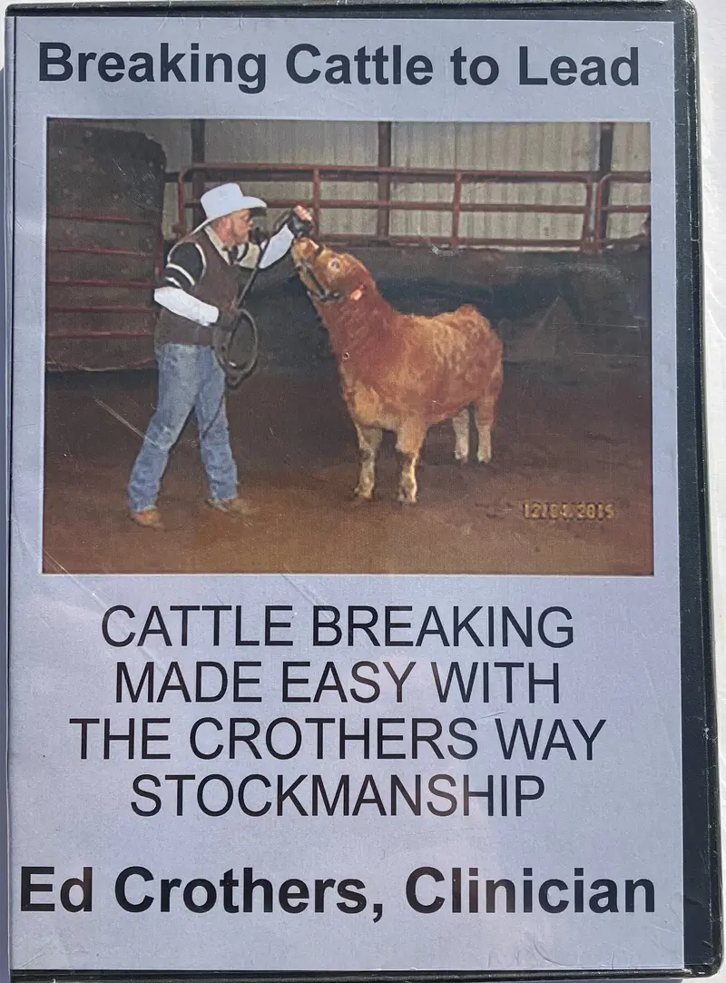 Breaking Cattle To Lead The Crothers Way 1