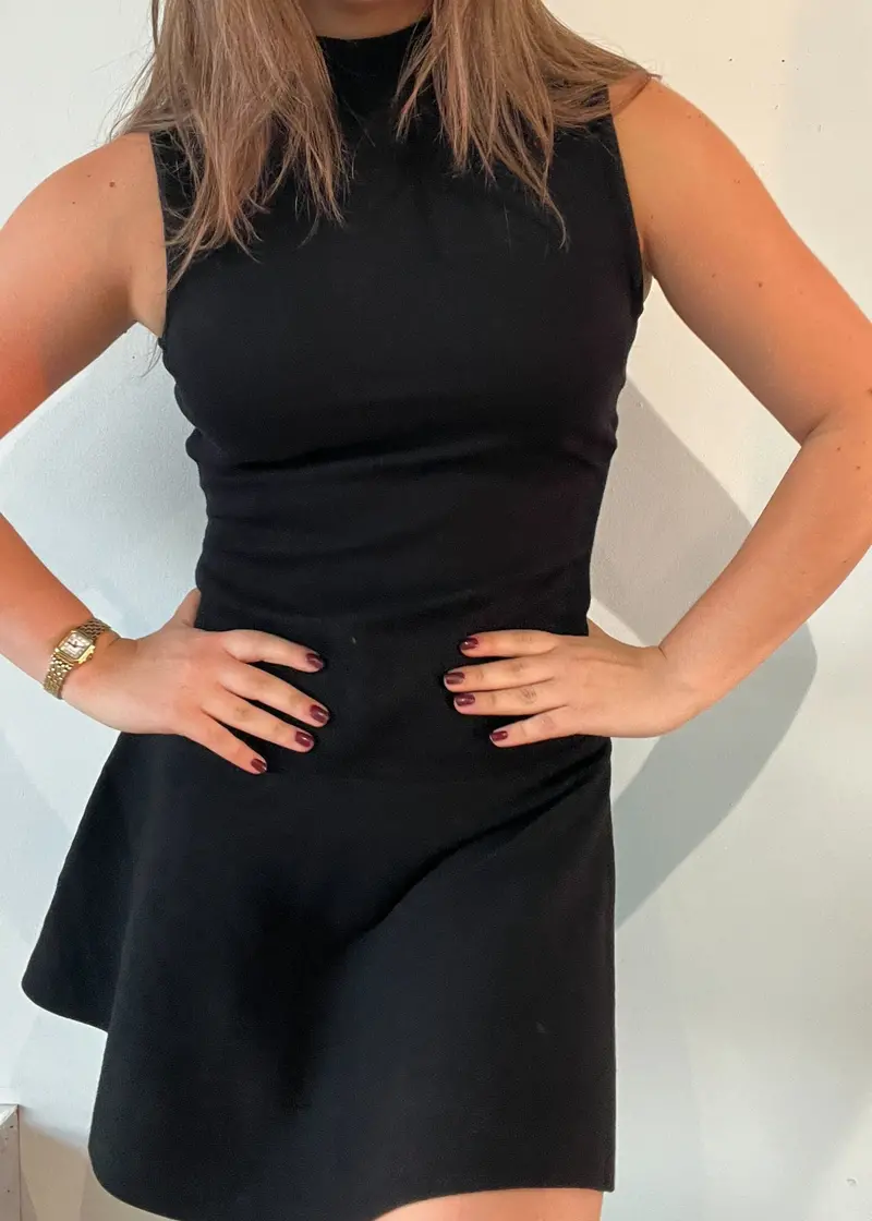 Breslin Sweater Dress 1