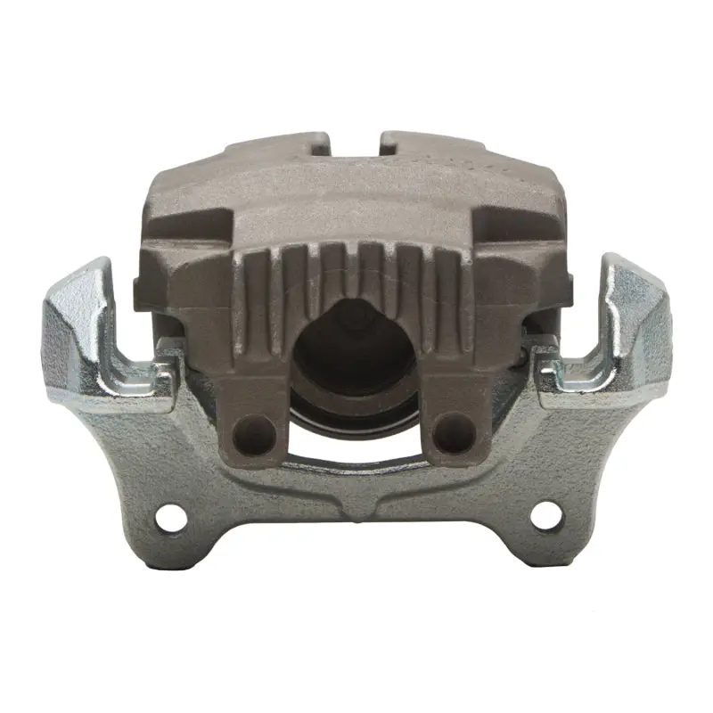 Dfc 06-16 Bmw X1 Front-L Premium Caliper - Silver Zinc Coated 1