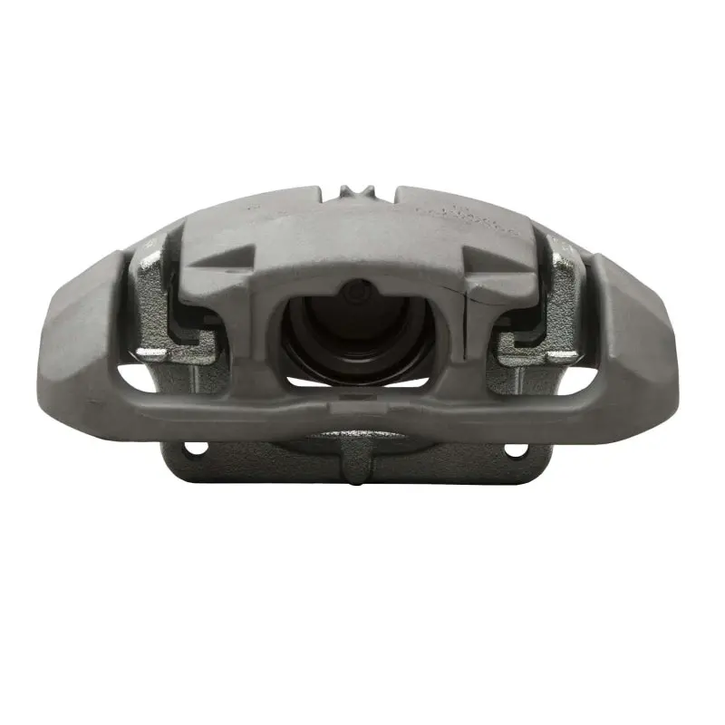 Dfc 08-13 Bmw 1 Series M Front-R Premium Caliper - Silver Zinc Coated 1