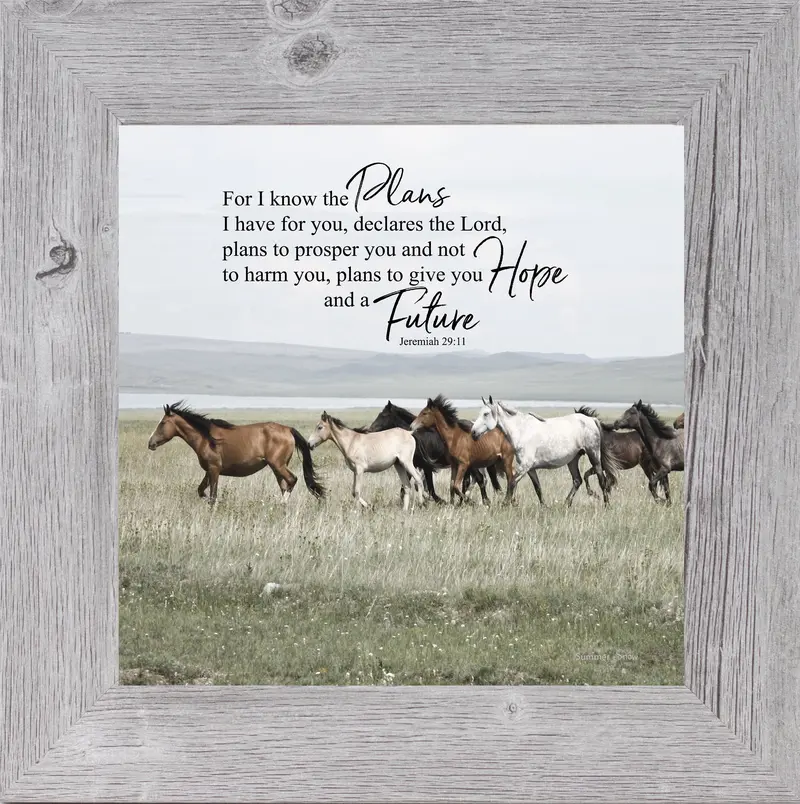 For I Know The Plans I Have For You By Summer Snow Ssw601 2