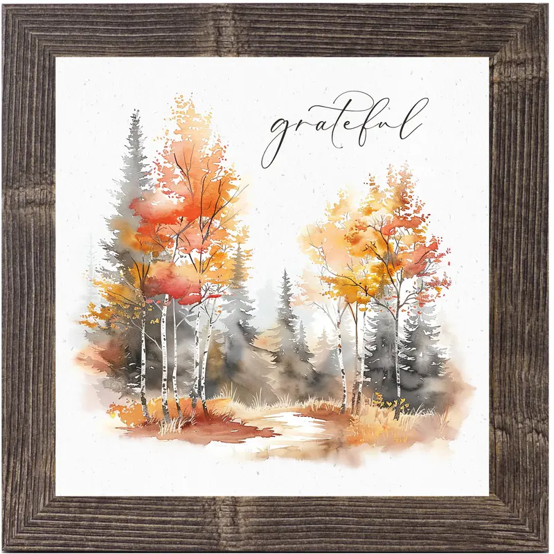 Grateful By Summer Snow Sn171 1