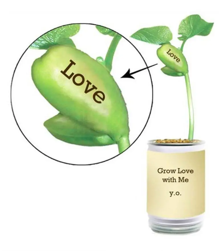Grow Love With Me, Yoko Ono 1