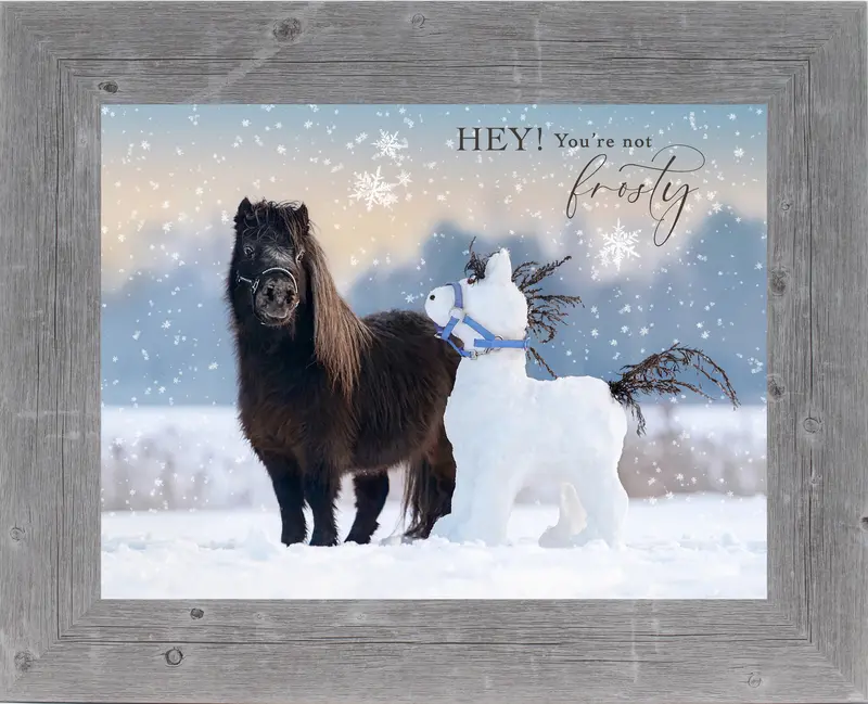 Hey! You're Not Frosty By Summer Snow Sn333 9