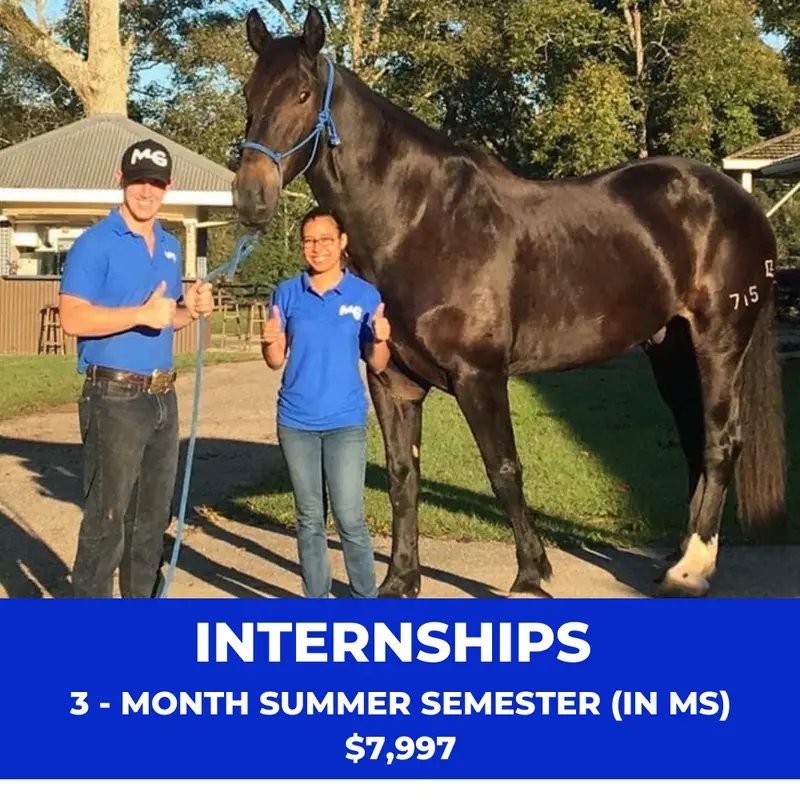 Internships: 3-Month Summer Semester (In Ms) 1