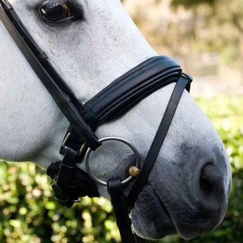 Kathy Connelly Nose Pad 1