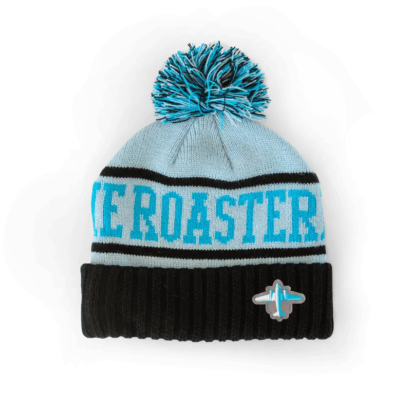 Knit Pom Pom Beanie 1