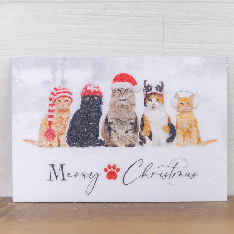 Meowy Christmas Magnet - Sn59m 1