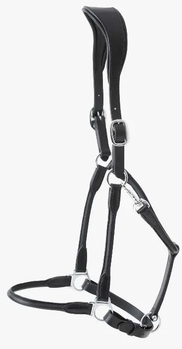 Pei Hennaroso Rolled Anatomic Head Collar 1