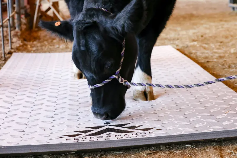 Portable Stall Mat Diamond Plate Design 5X10 1