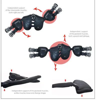 Scharf Freedom Dressage Girth 1