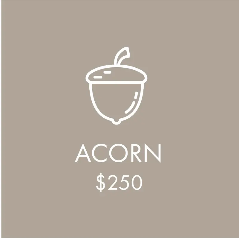 Support Longhouse - Acorn $250 1