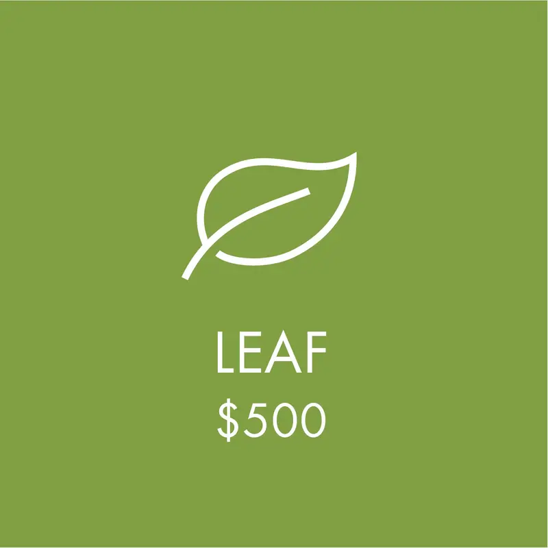 Support Longhouse - Leaf $500 1