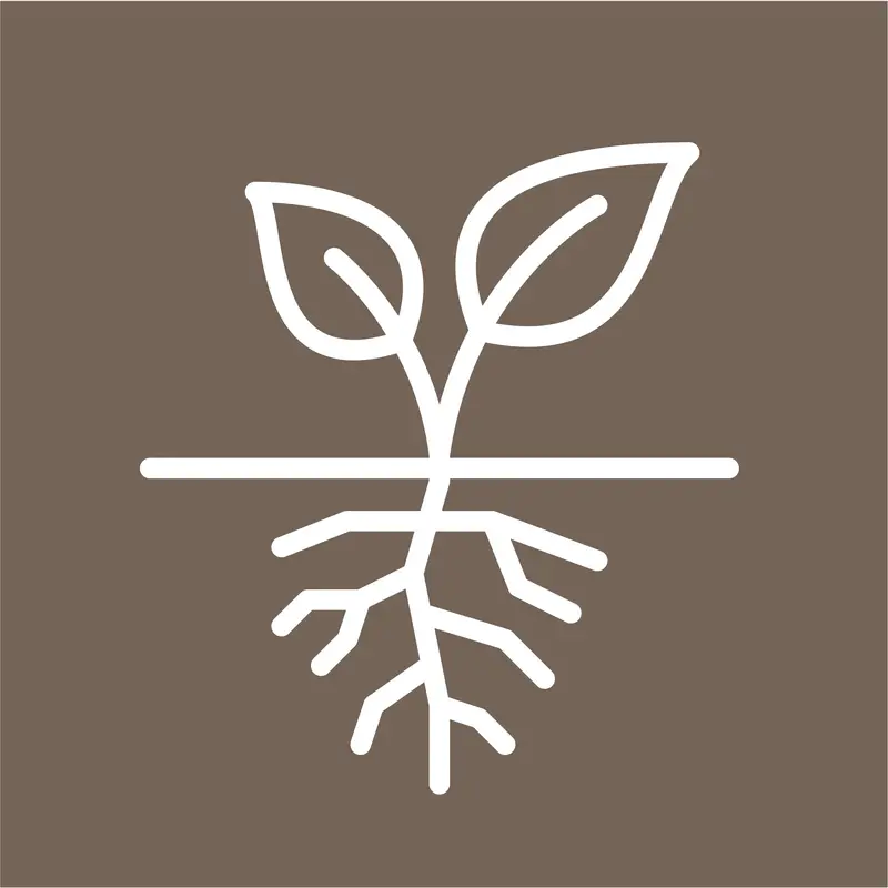 Support Longhouse Pledge Contribution - Root $1,000 1
