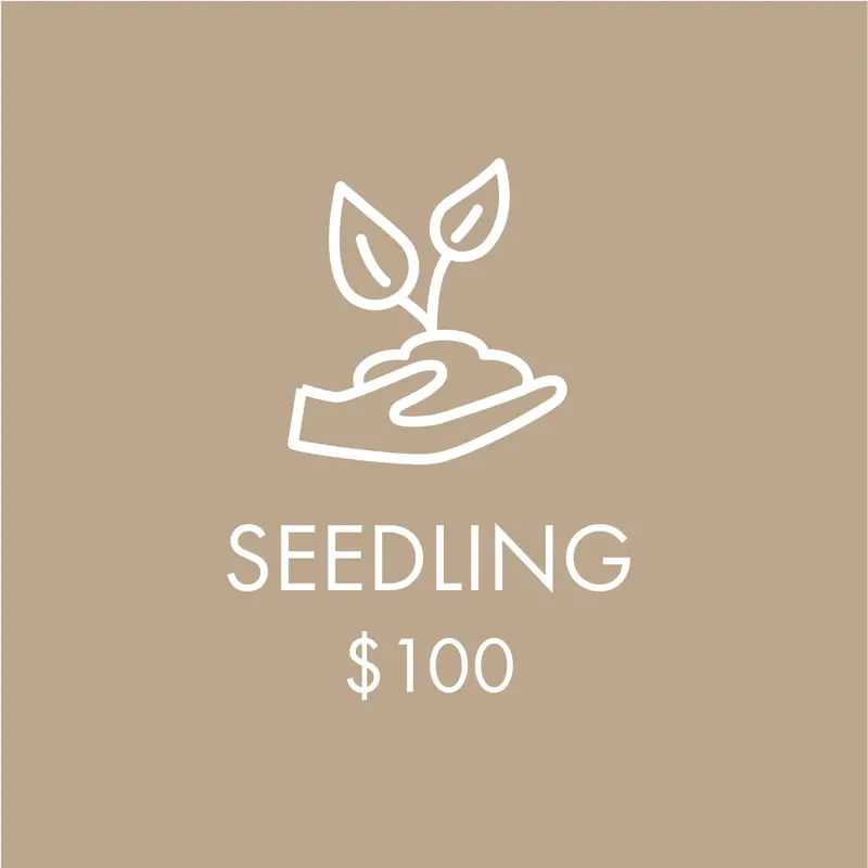 Support Longhouse - Seedling $100 1