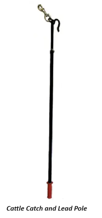 The Cattle Catch & Lead Pole 1