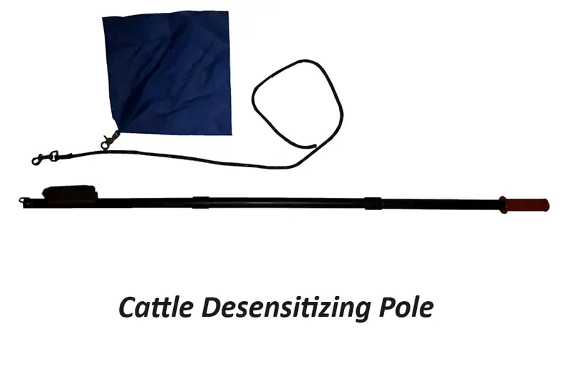 The Cattle Desensitizing Pole 1