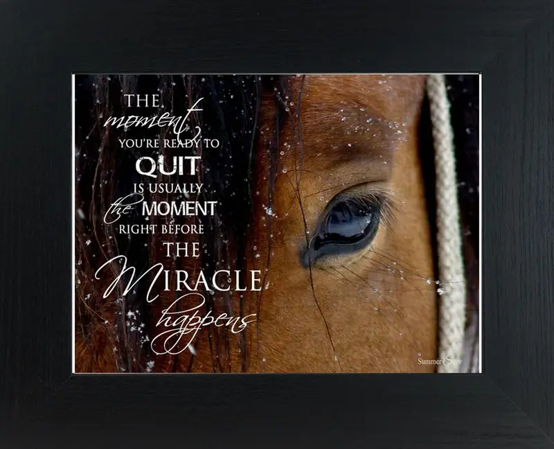 The Moment You're Ready To Quit Horse Eye Ssw9812 1