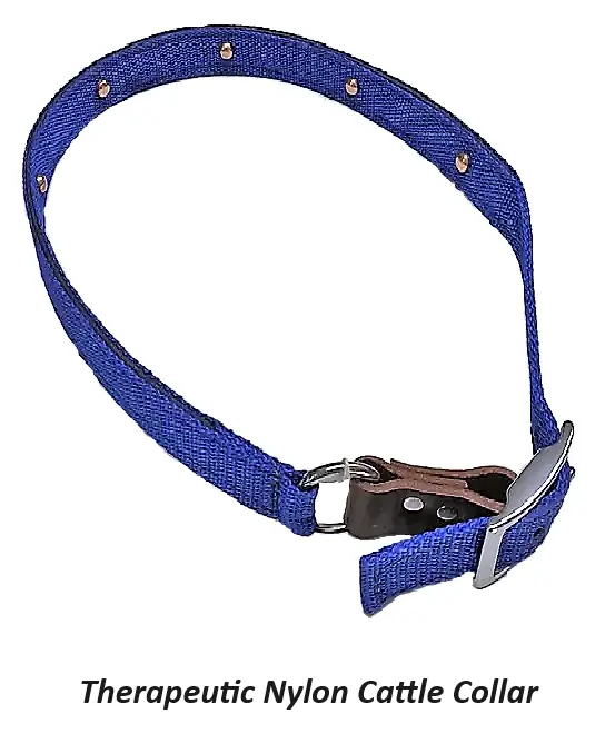 The Therapeutic Nylon Cattle Collar 1