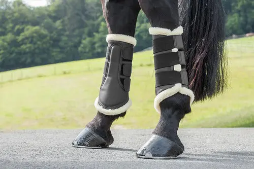 Usg Dressage Boots 1