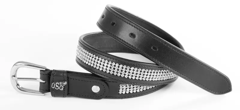 Usg Princess Belt 1