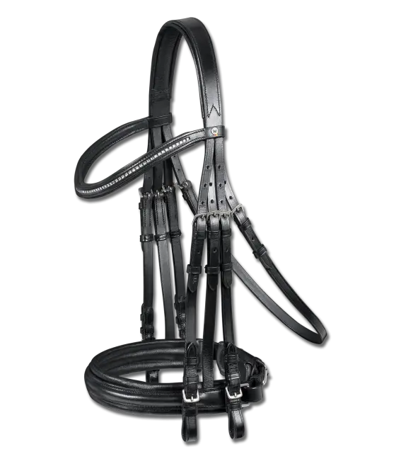 Waldhausen X-Line Jerez Double Bridle 1