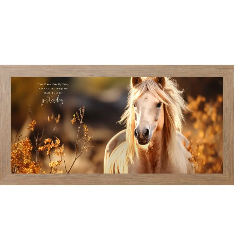 What If You Woke Up Today Wall Art – Palomino Horse Gratitude Inspirational Decor (Zs106) 1